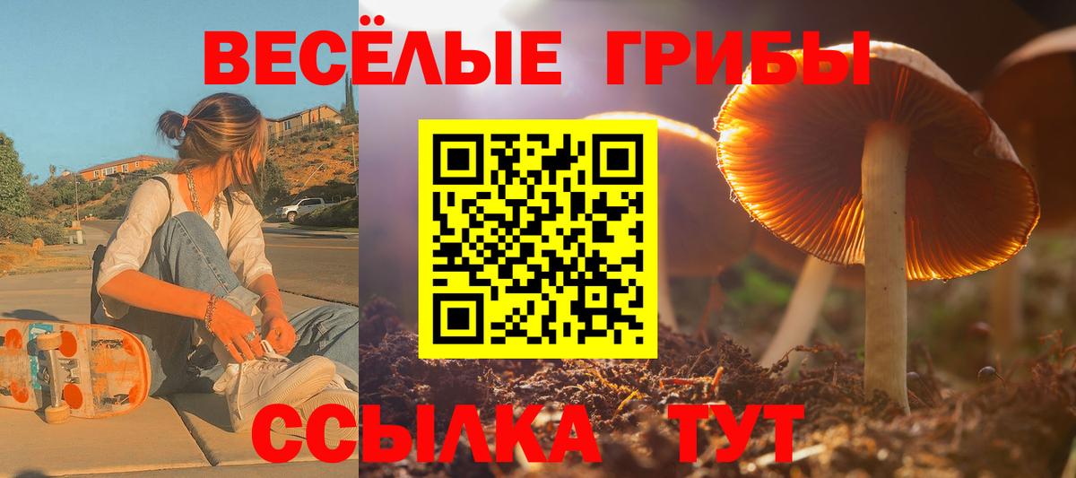 Псилоцибиновые грибы MAGIC MUSHROOMS  Псилоцибиновые грибы мухоморы  Усть-Илимск  Вход с VPN 