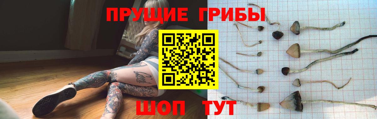 Псилоцибиновые грибы Magic Shrooms Усть-Илимск