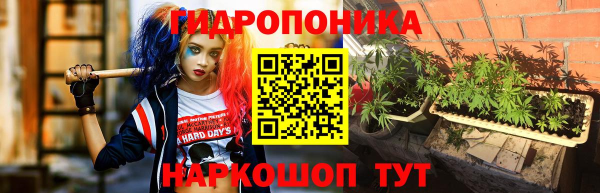Марихуана семена  Канабис ГИДРОПОН  Марихуана OG Kush  Вход с VPN  Усть-Илимск  Канабис MAZAR 